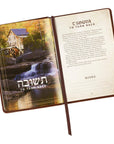 Full-color interior of the 52 Hebrew Words Every Christian Should Know gift book featuring Hebrew words, translations, and devotional content.
