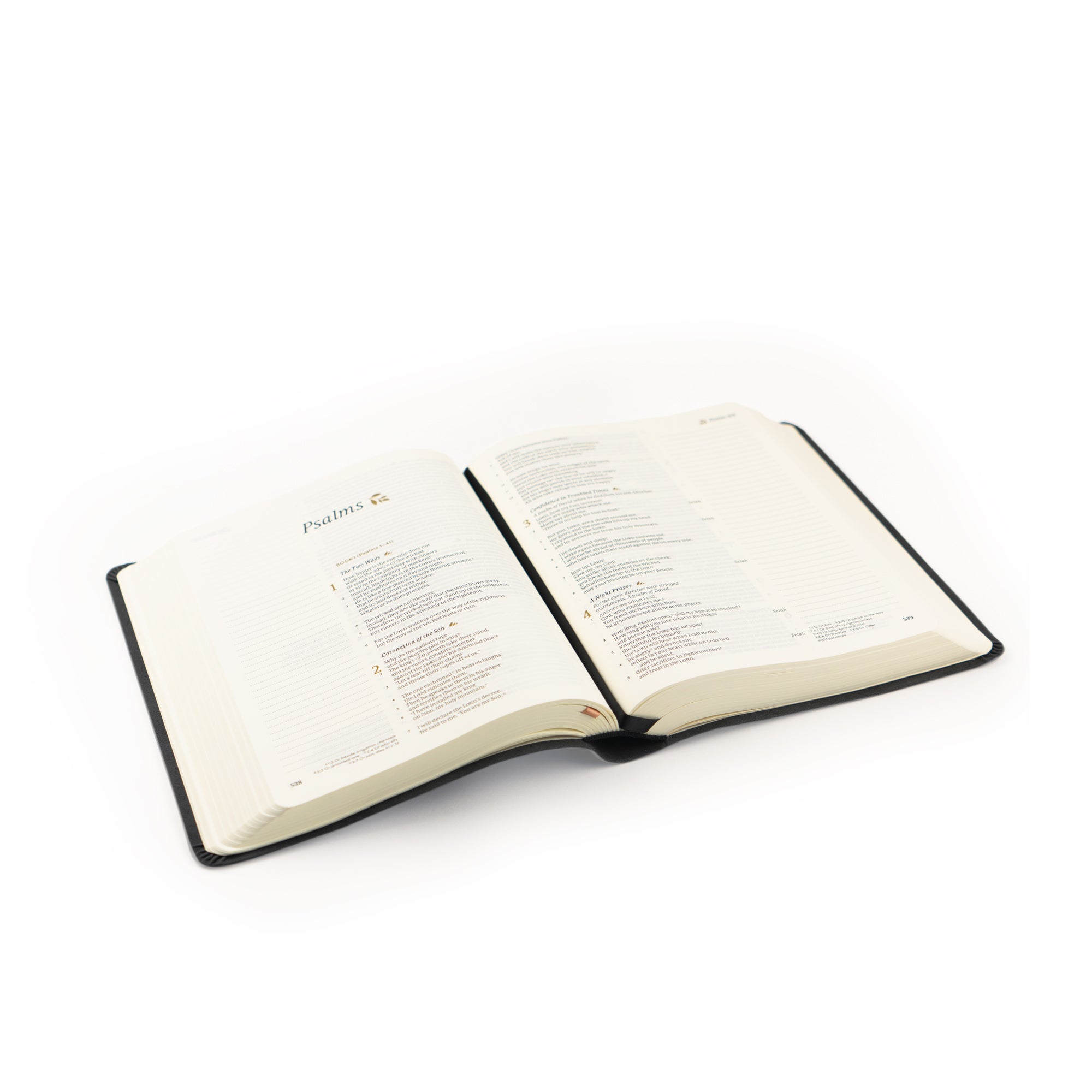 Open full-size CSB Jerusalem Bible showing the book of Psalms on a white background.