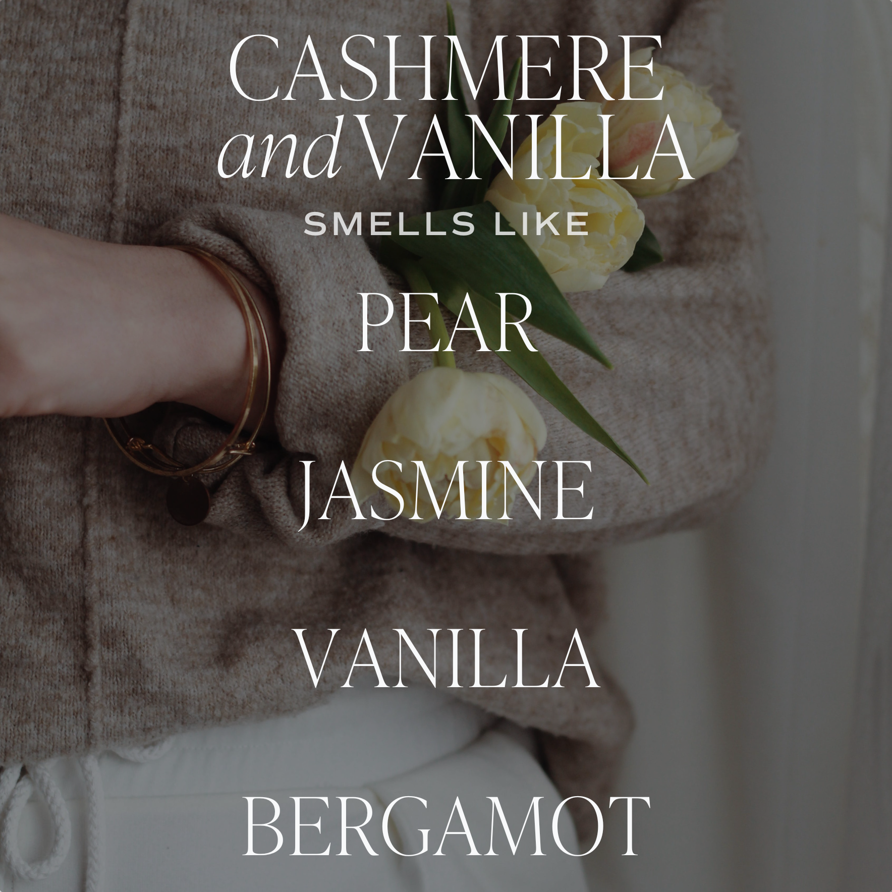 Text on overlay reads - Cashmere and vanilla smells like pear, jasmine, vanilla, bergamot. 