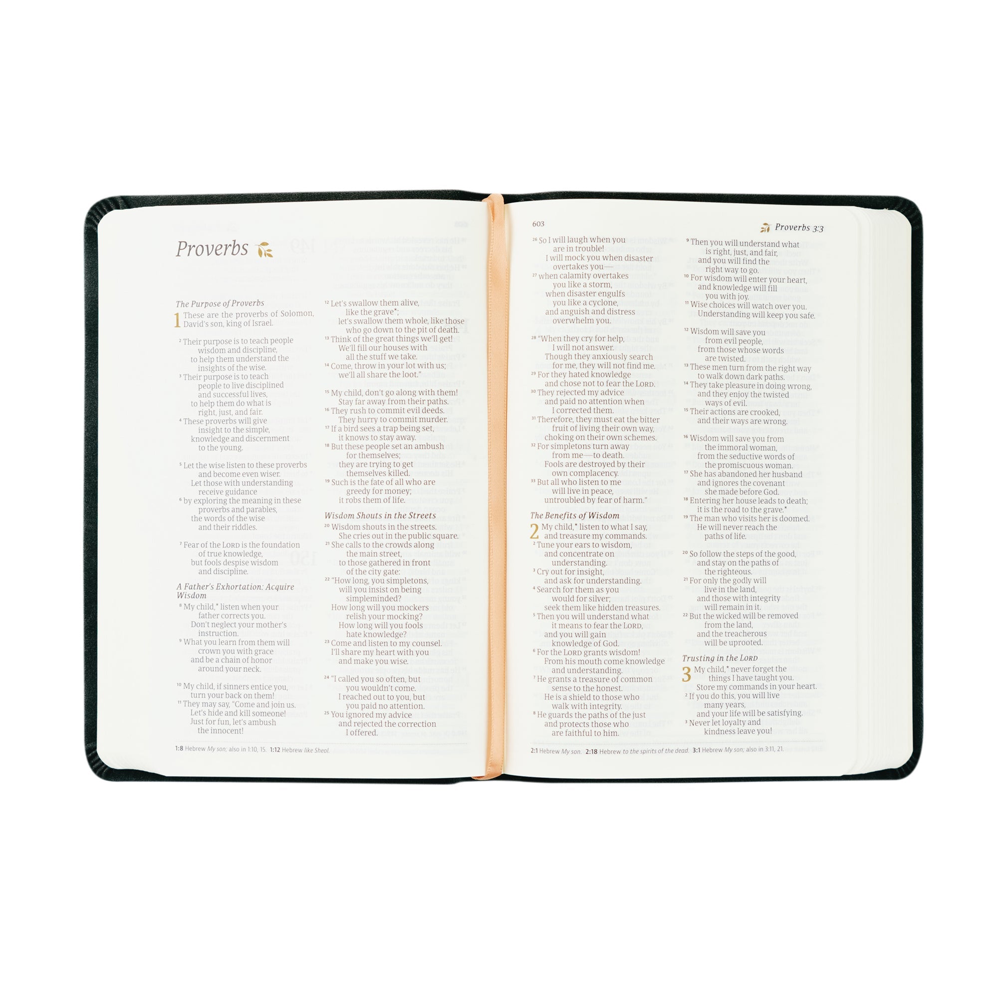 Open NLT compact Jerusalem Bible showing the book of Proverbs with clear black and red text.