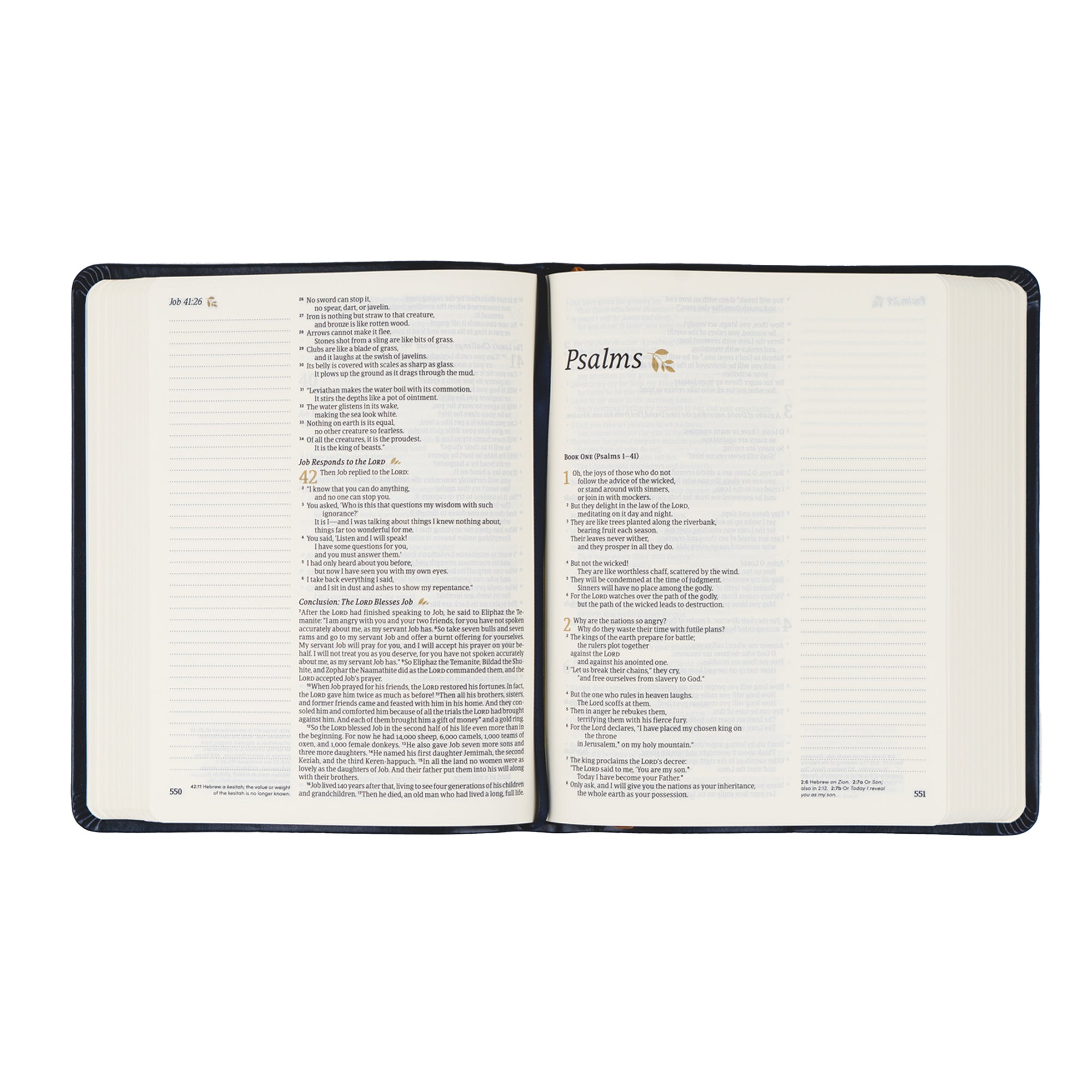 Alt text: Versailles NLT Notetaking Bible featuring wide, lined margins perfect for journaling, prayers, and insightful reflections.