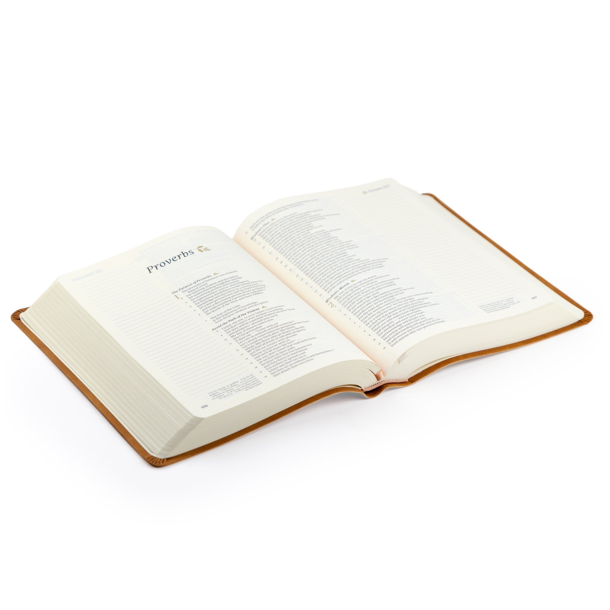 Durable Smyth-sewn Amelia CSB Bible binding that lays flat for study and journaling.