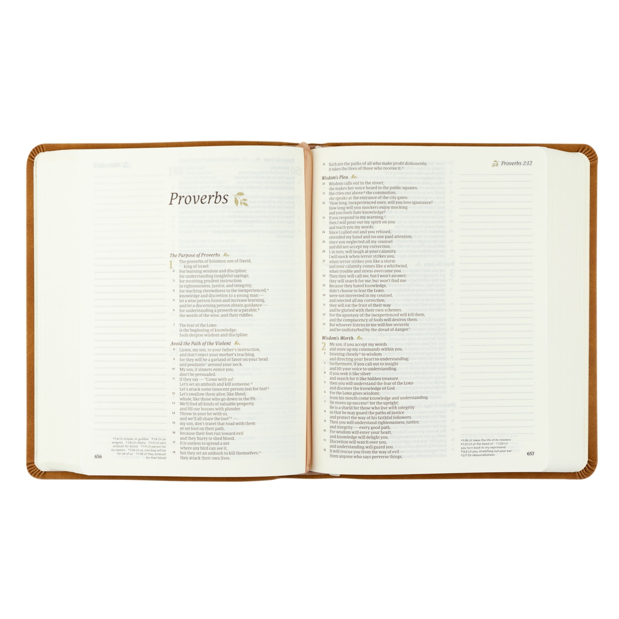 Amelia CSB Journaling Bible with wide margins for notes, prayers, and Scripture reflections.