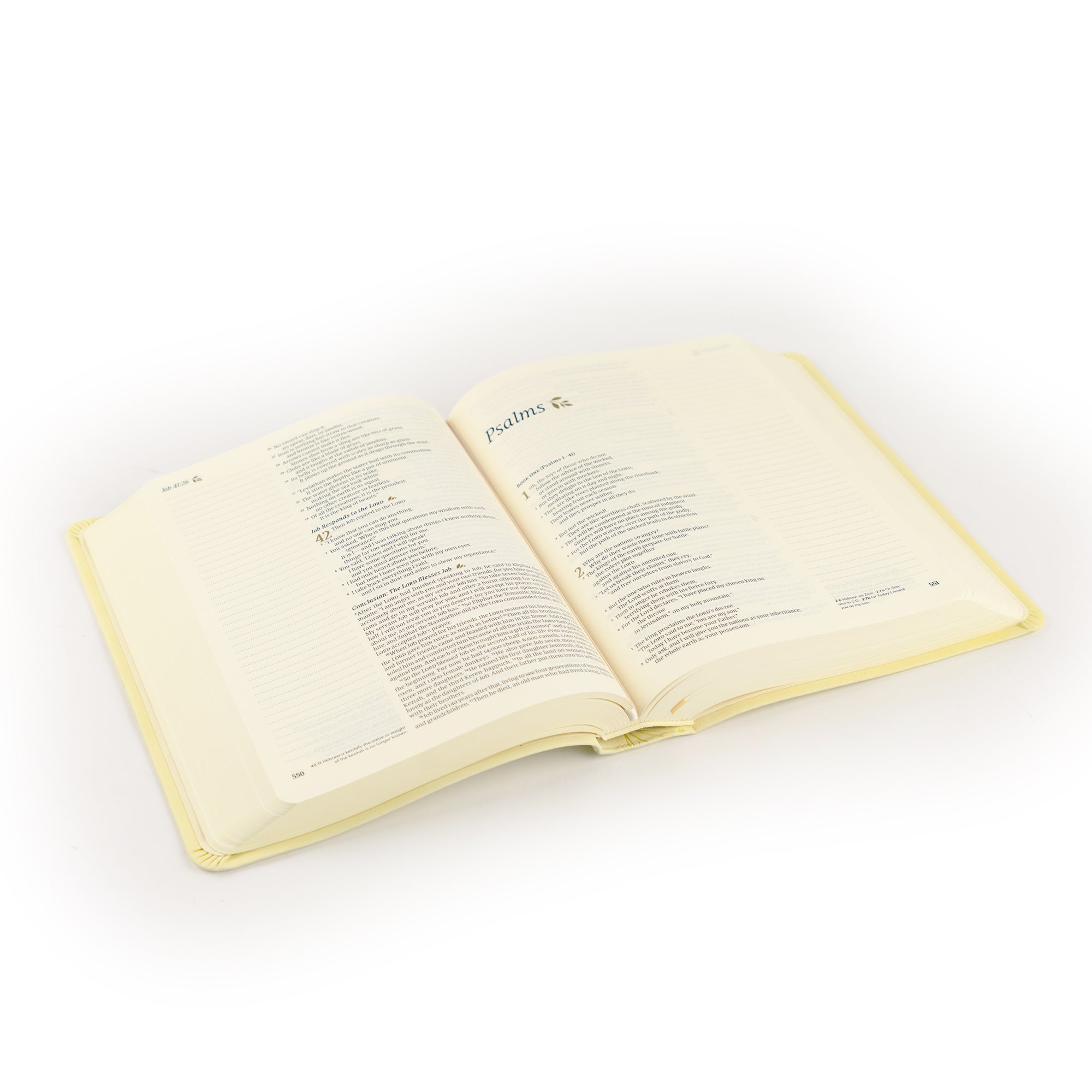 Angled open Belfast NLT journaling Bible showing wide lined margins and single-column layout