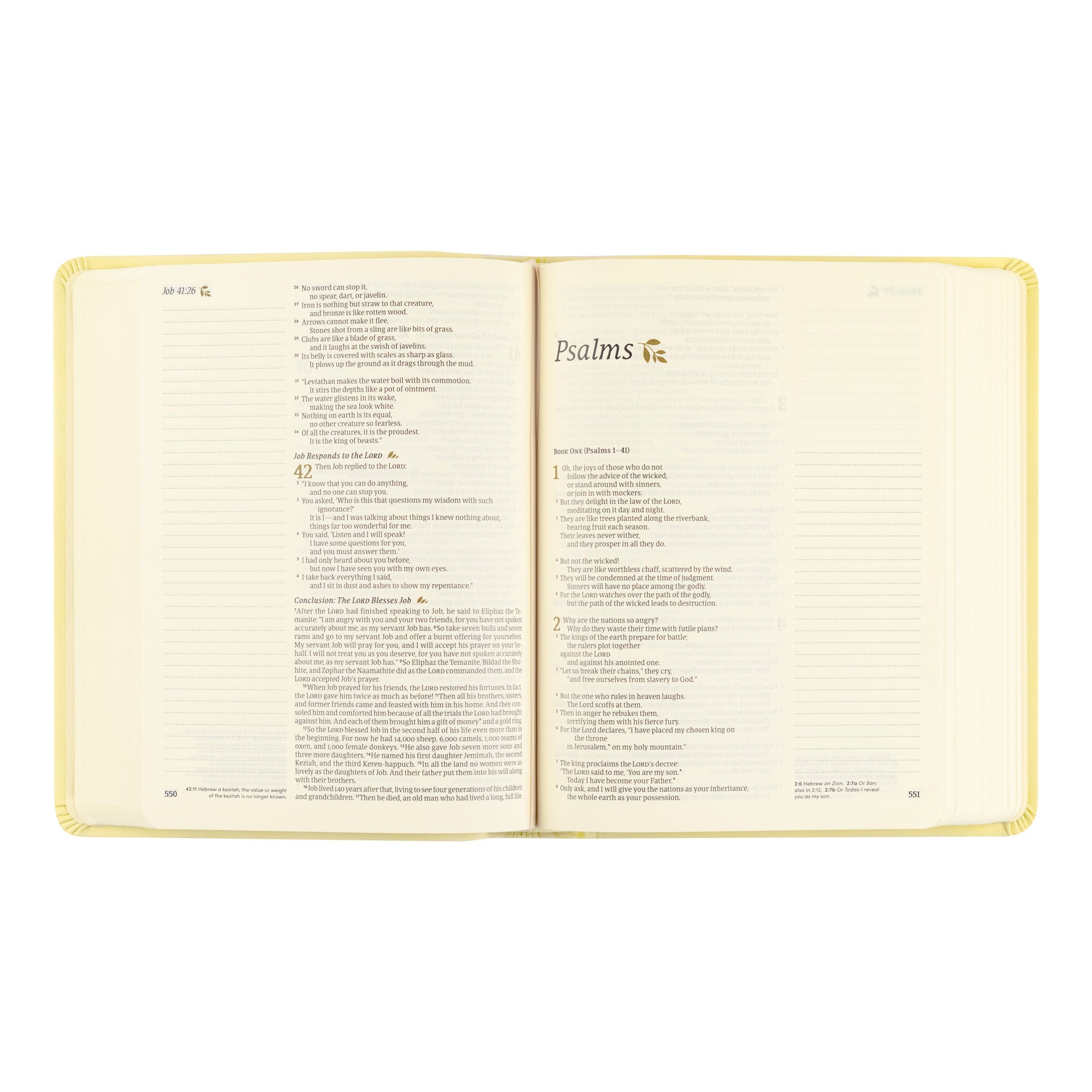 Open Belfast NLT journaling Bible showing wide lined margins and Psalms layout for note-taking