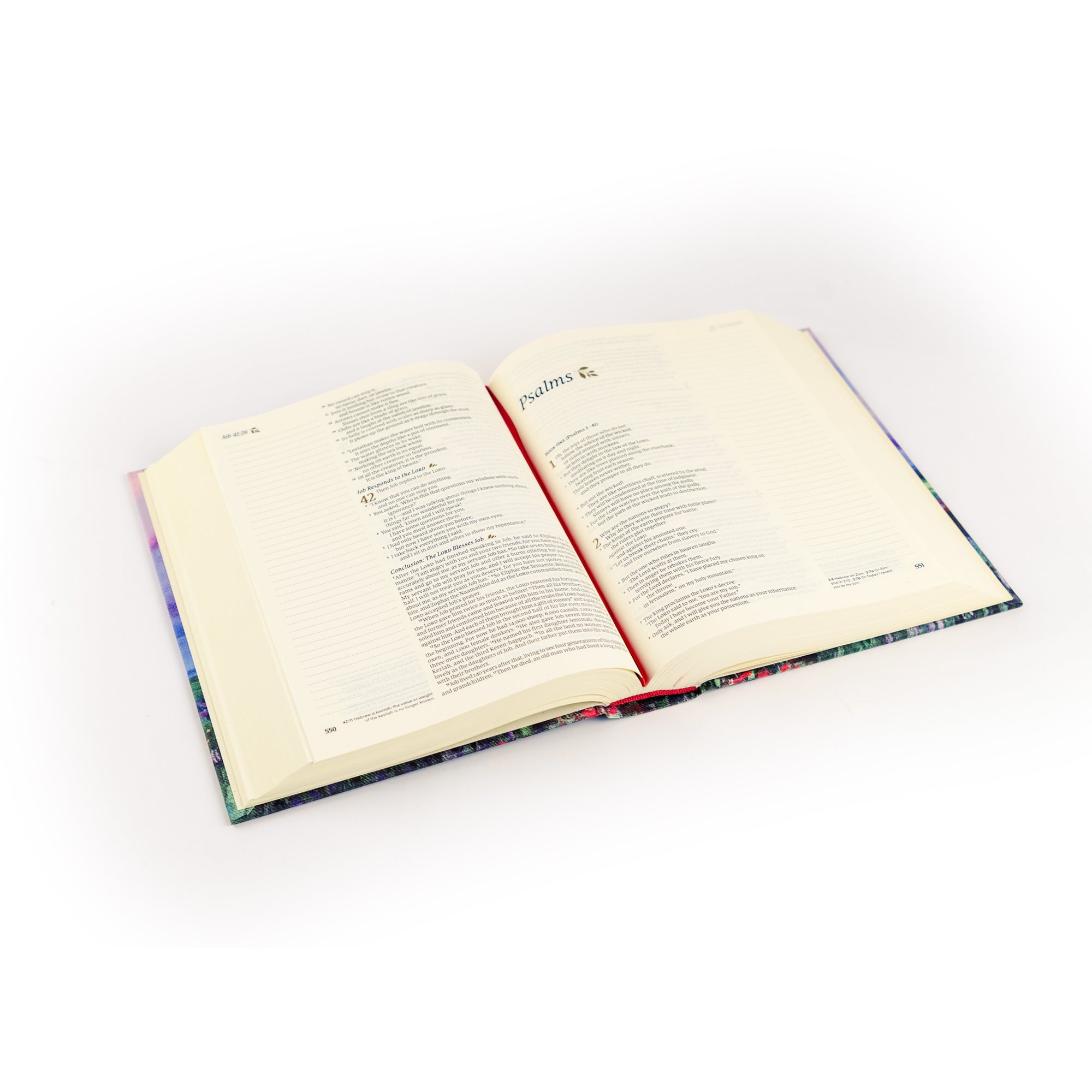 Cana NLT journaling Bible open at an angle showing Scripture text and wide lined margins for note-taking