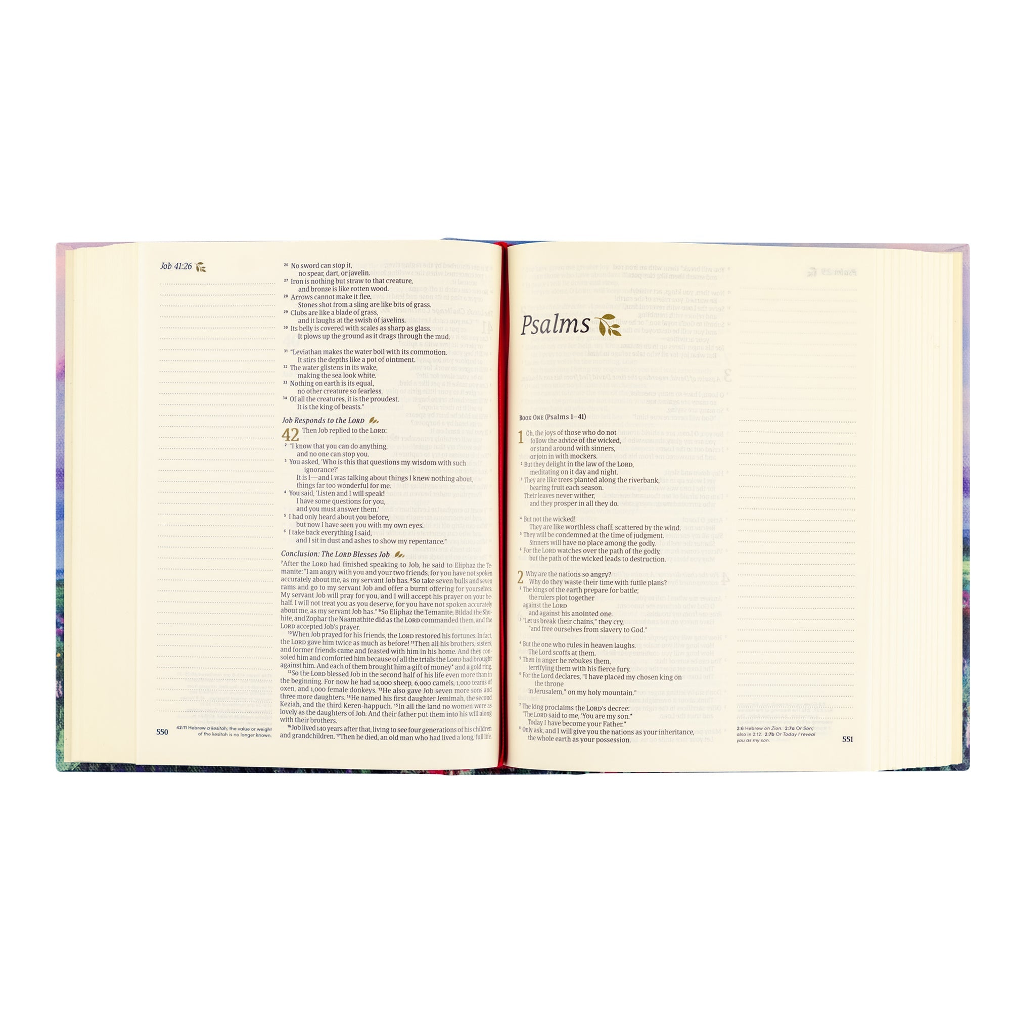 Open pages of Cana NLT journaling Bible showing wide lined margins for notes and Scripture text in Psalms