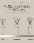 Hello Fall Reed Diffuser – Apple Cider &amp; Warm Spice | 3.5 oz