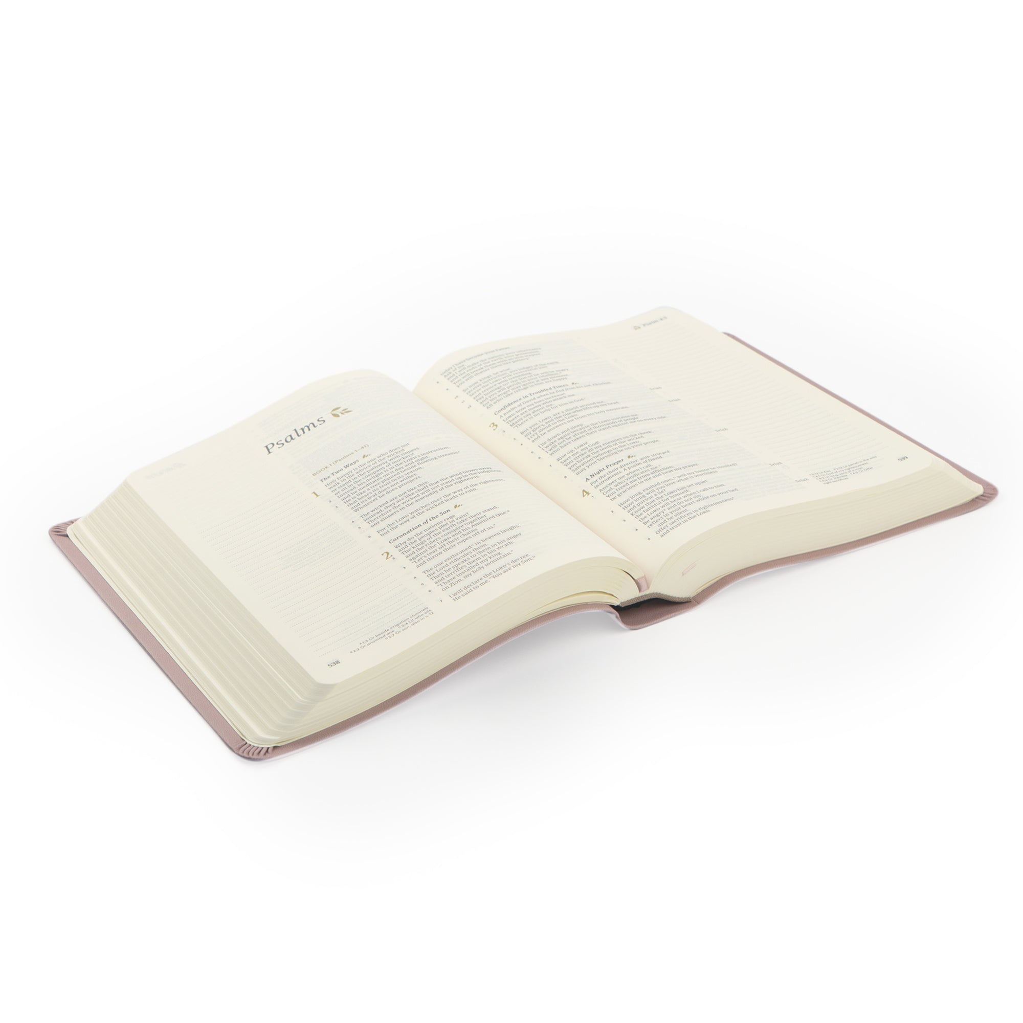 Mauves CSB Notetaking Bible shown at an angle with cream-colored pages and wide lined margins for Scripture journaling