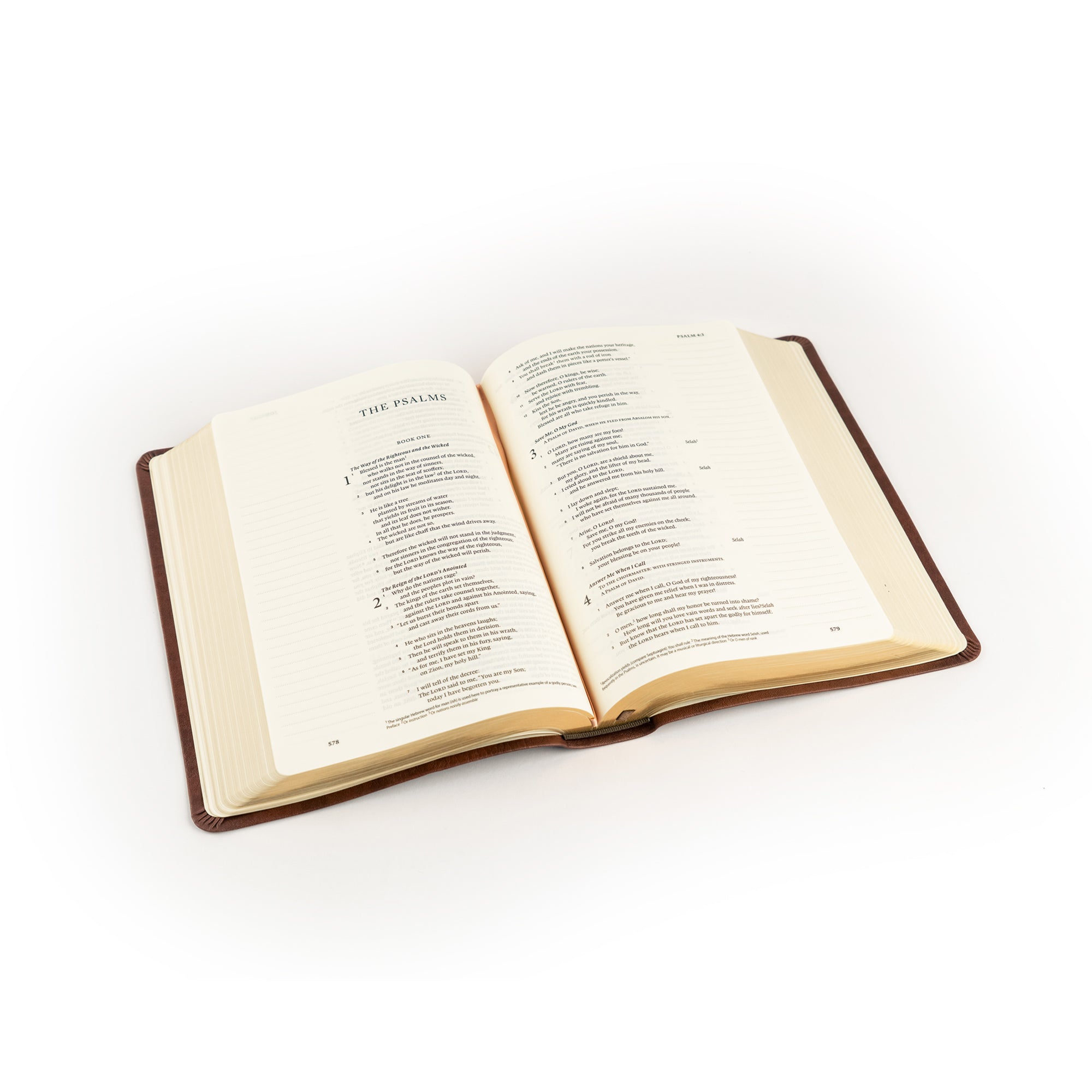 Open Palma ESV journaling Bible showing angled view of wide lined margins, cream-colored pages, and durable binding