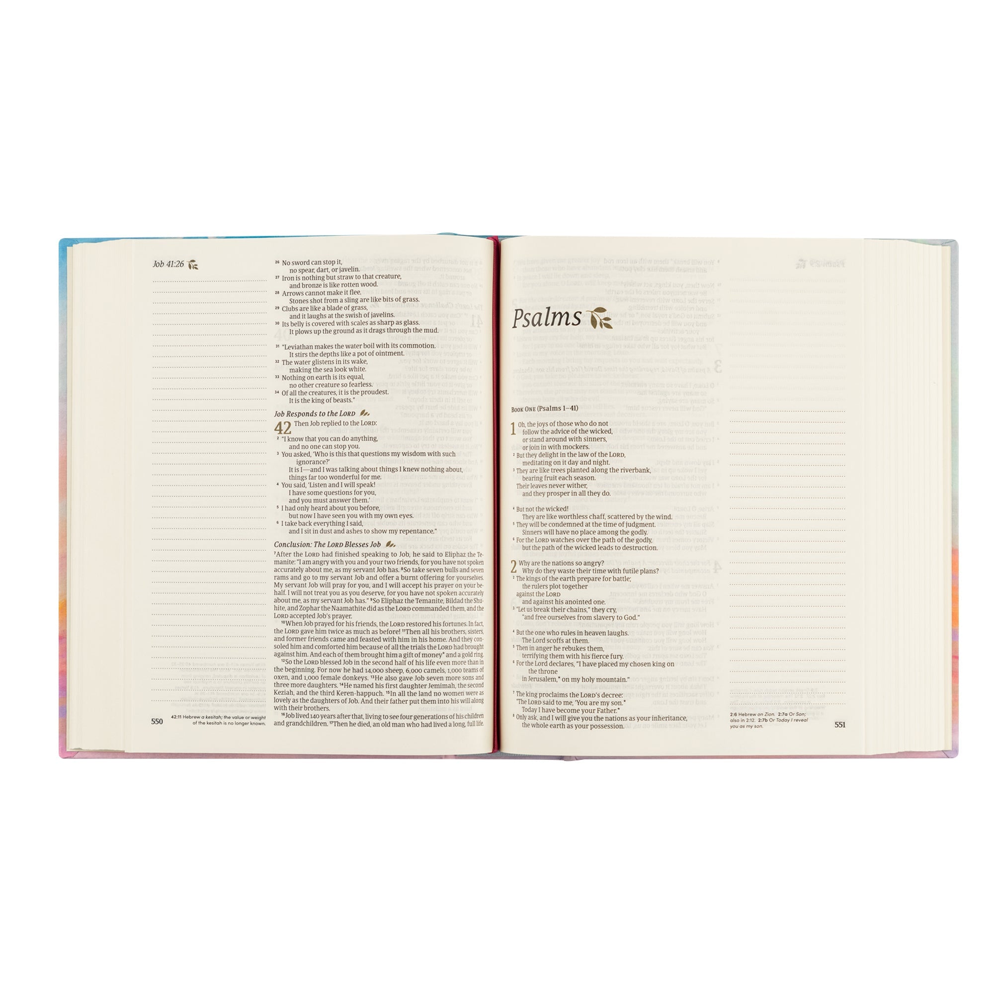 Open Rosemary Beach NLT journaling Bible showing Scripture text with wide lined margins for notes and journaling