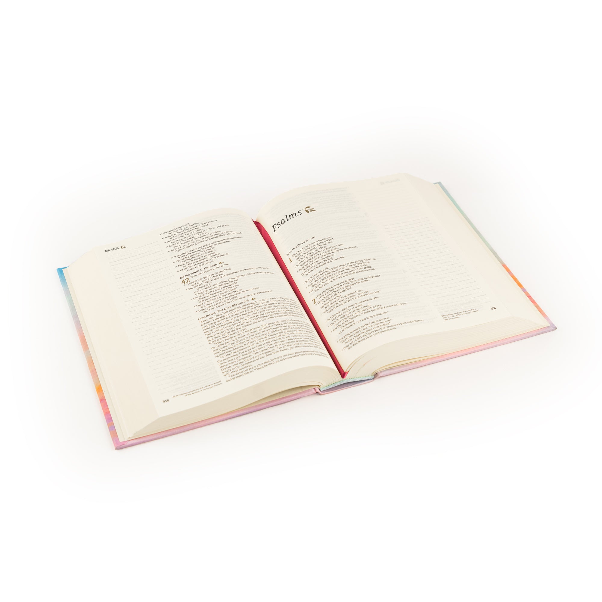 Open Rosemary Beach NLT journaling Bible shown at an angle displaying lined margins and ribbon marker