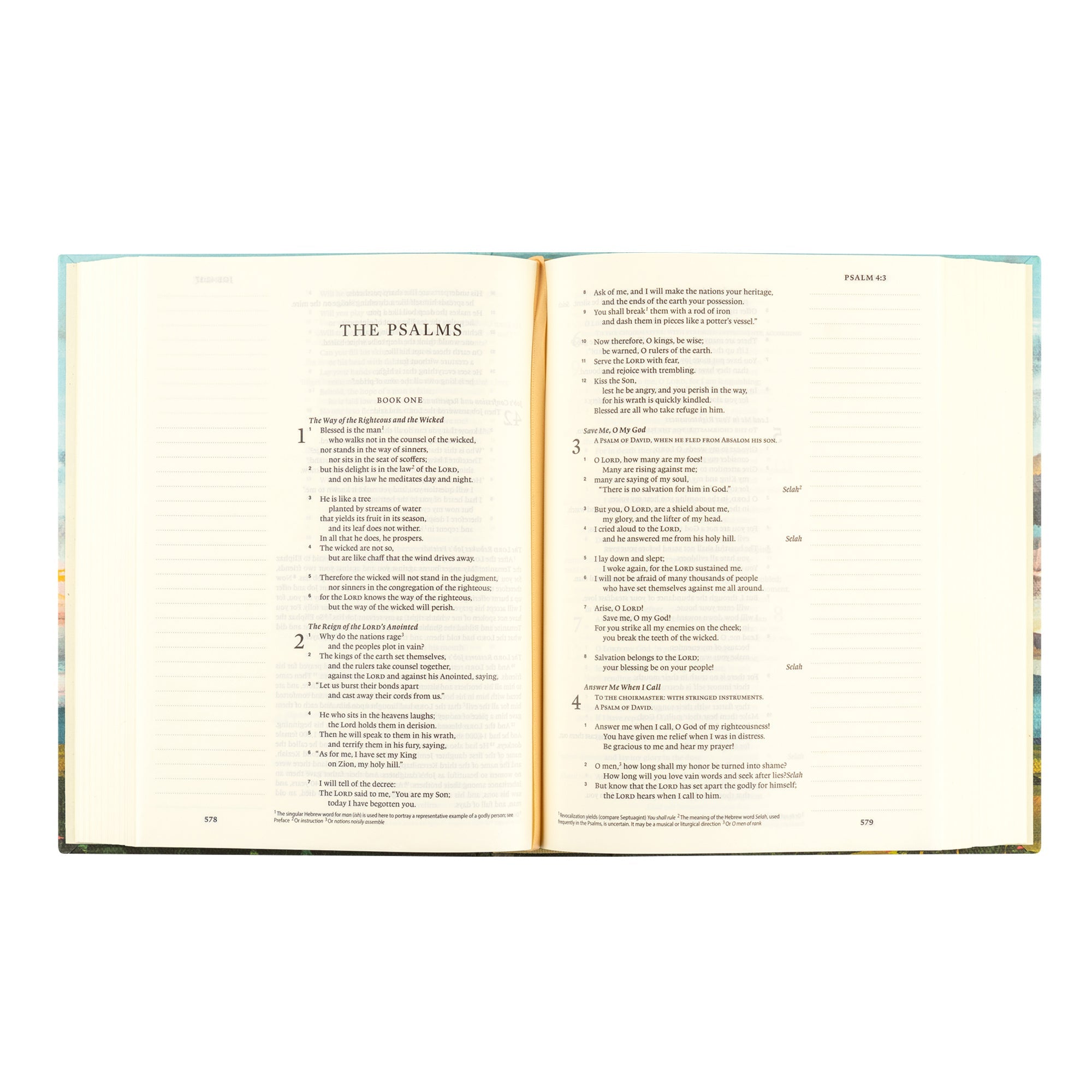Open Santa Lucia ESV journaling Bible showing Psalms text with wide lined margins for note taking and Bible study