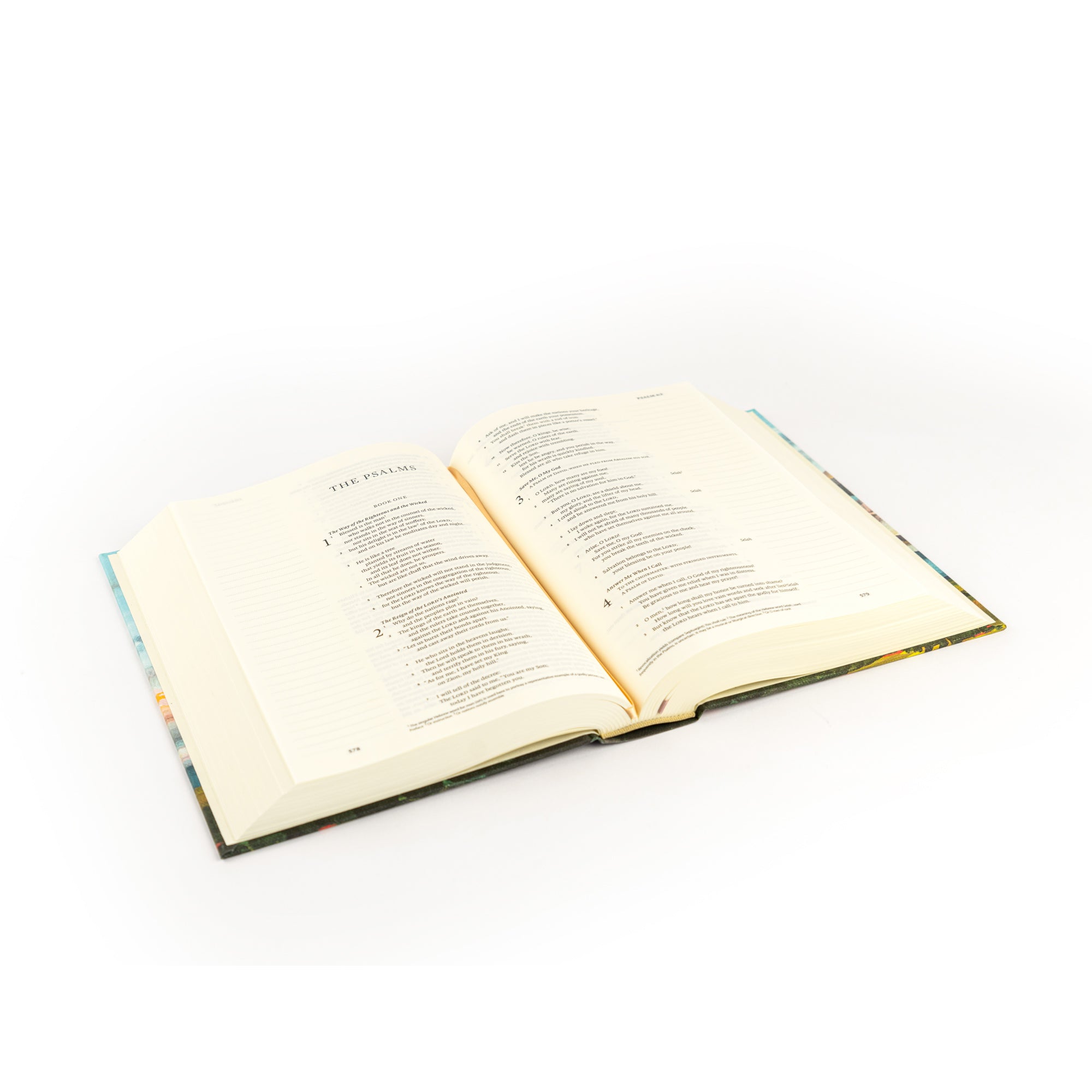 Santa Lucia ESV journaling Bible open at an angle showing Scripture text and wide lined margins for note taking