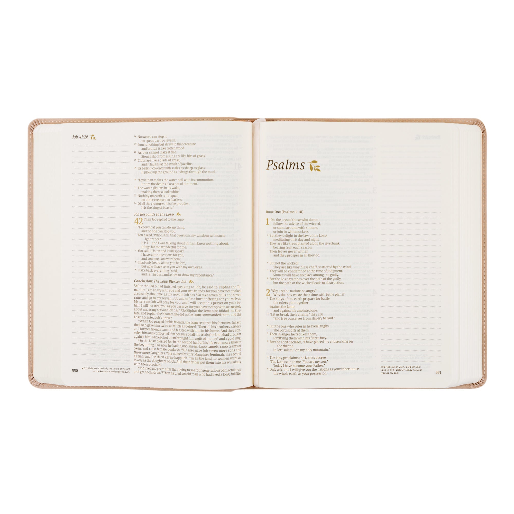 Open Shiloh journaling Bible with wide lined margins for notes and reflections