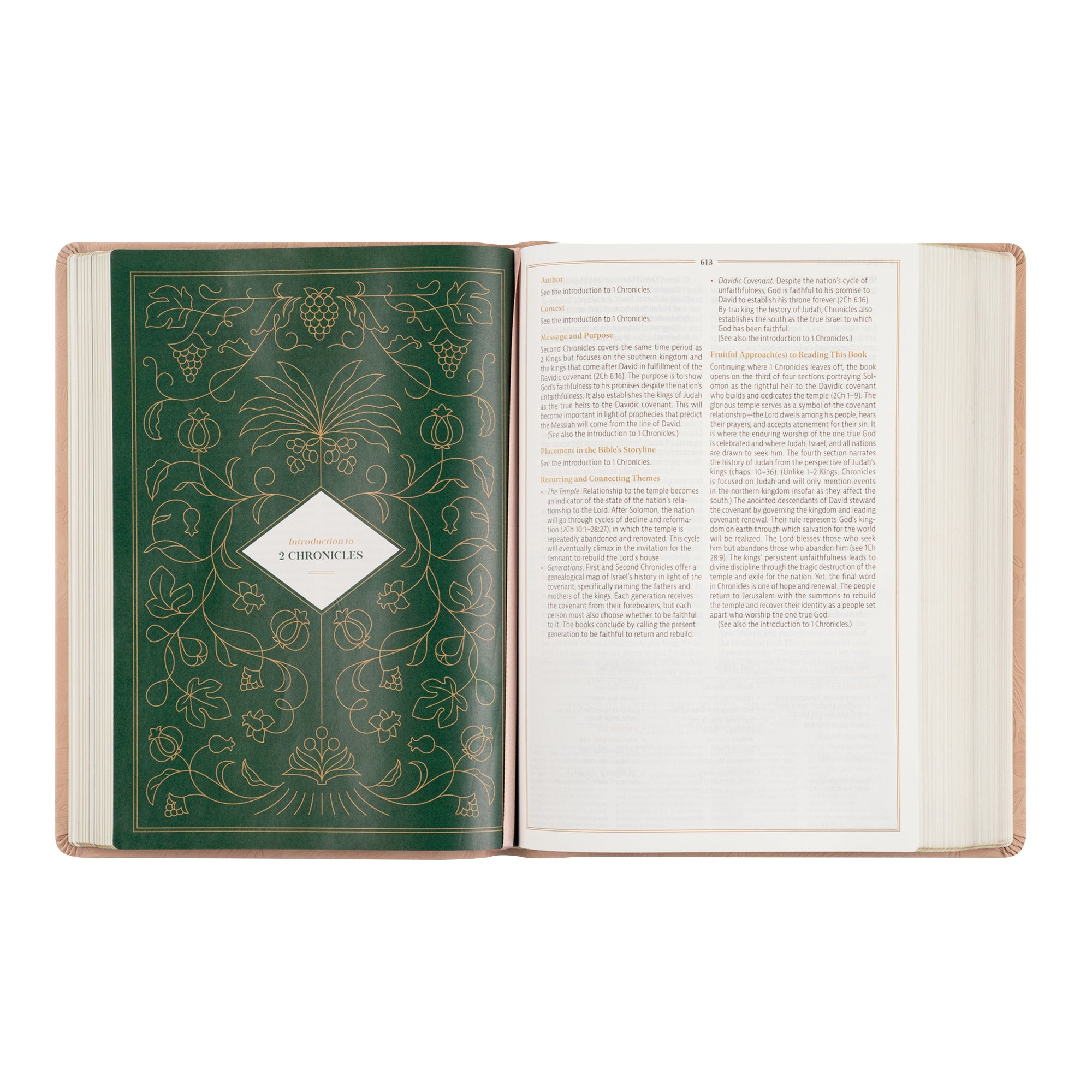 Introduction page for 2 Chronicles inside Sonora CSB Women’s Study Bible