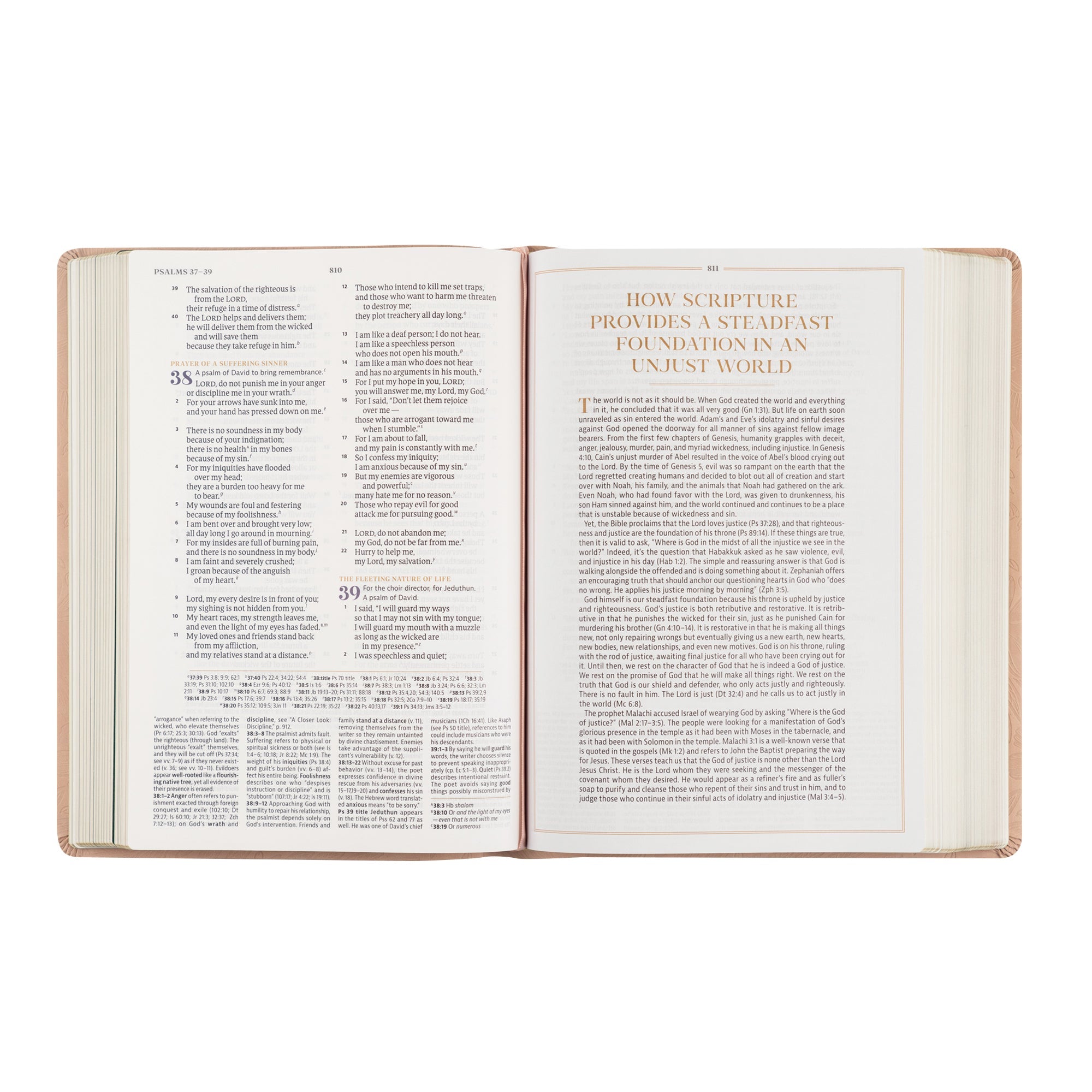 Study article page discussing Scripture and faith inside Sonora CSB Women’s Study Bible