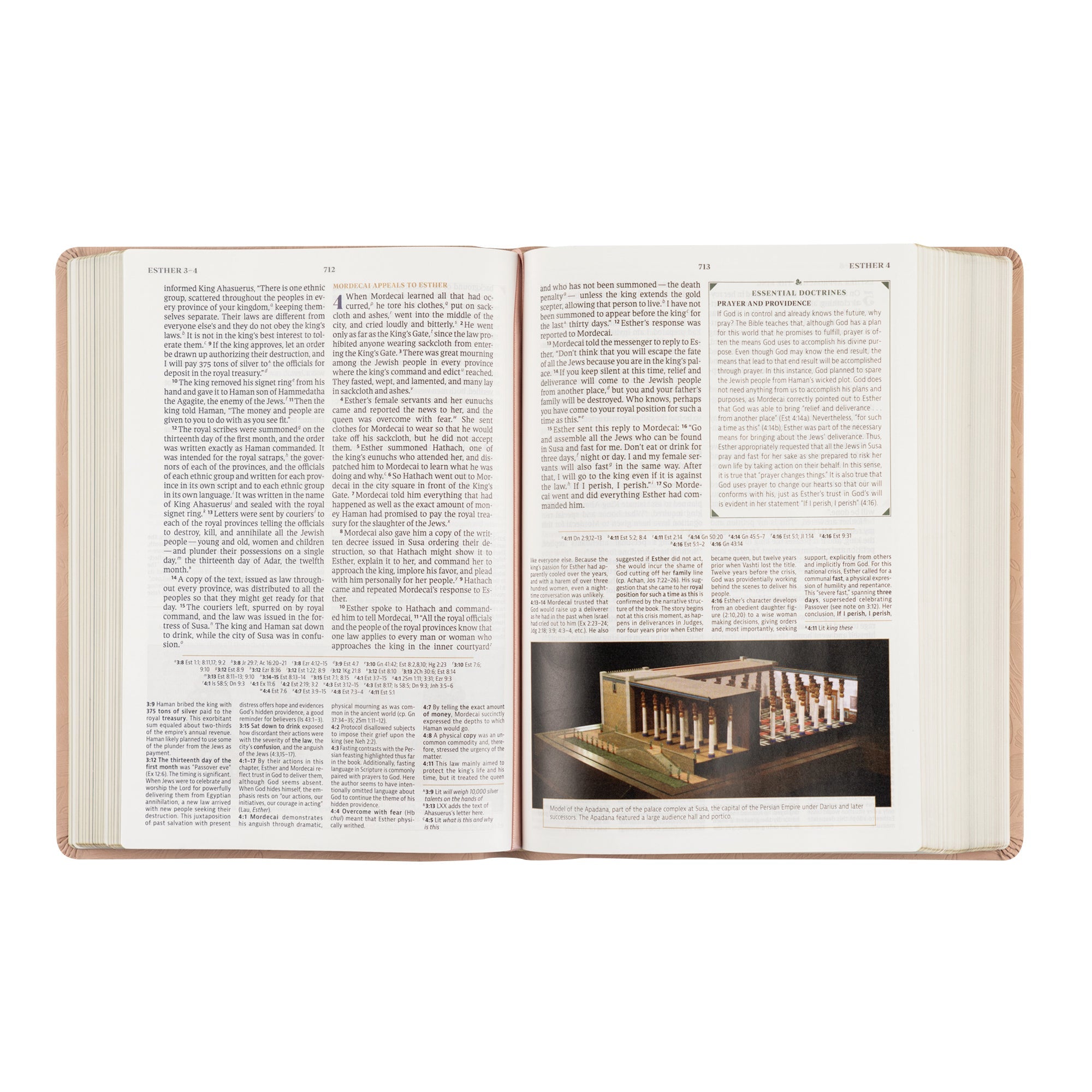 Study page from the book of Esther with historical photo inside Sonora CSB Women’s Study Bible
