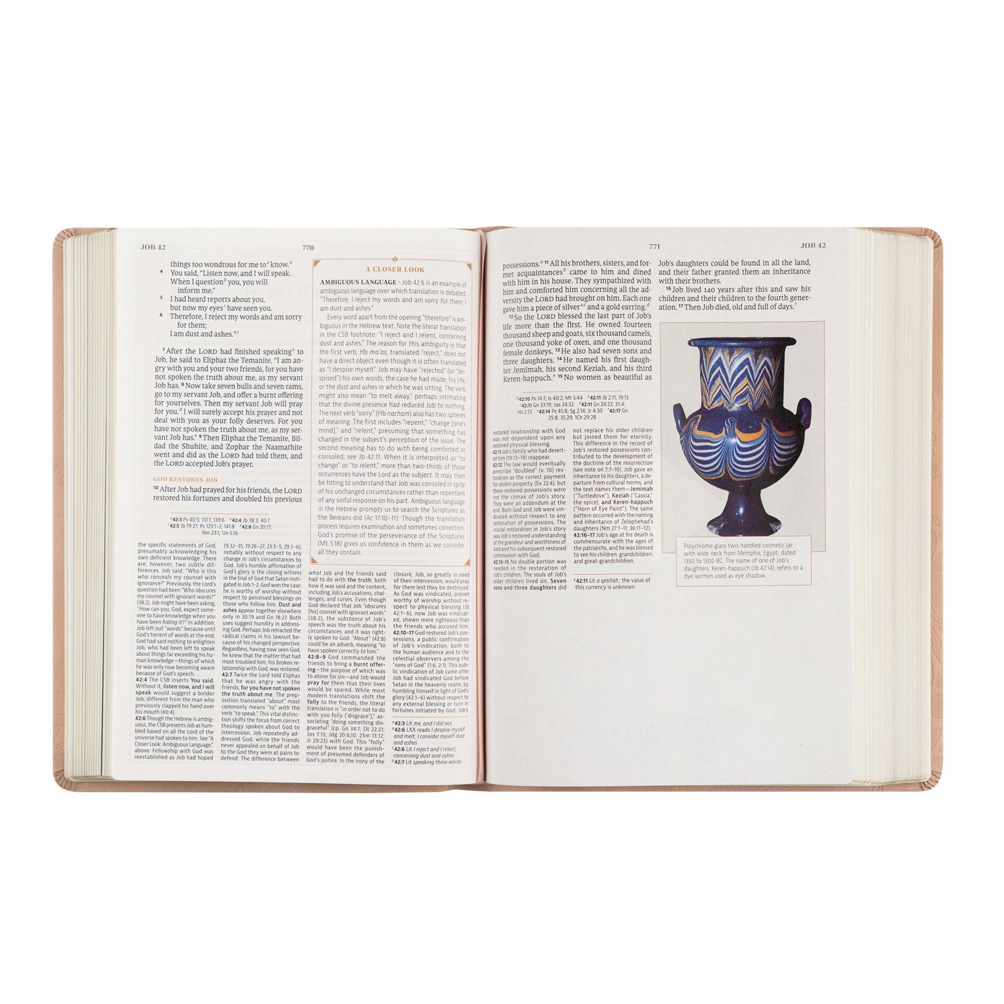 Study page from the book of Job featuring artifact illustration inside Sonora CSB Women’s Study Bible
