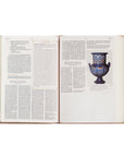 Study page from the book of Job featuring artifact illustration inside Sonora CSB Women’s Study Bible