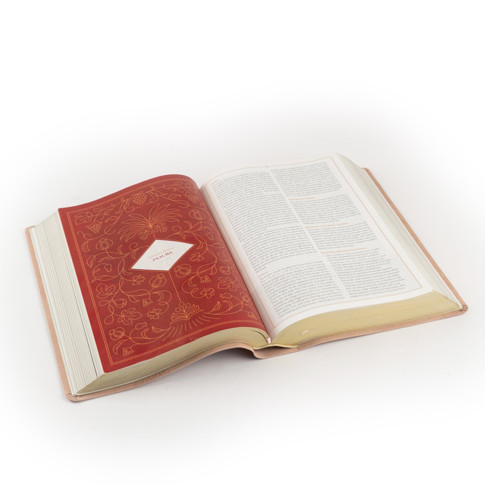 Sonora CSB Women’s Study Bible open on table showing study layout and decorative pages