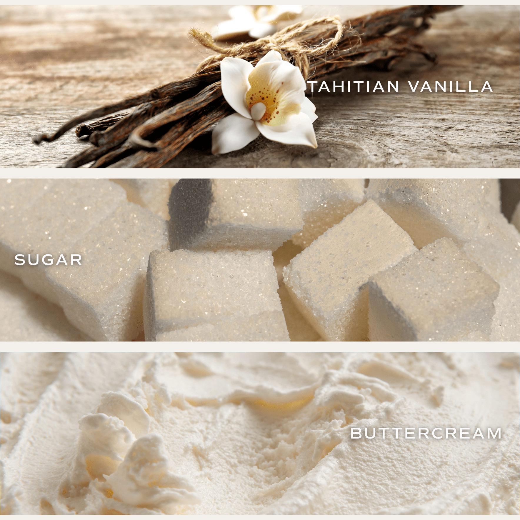 Fragrance notes of Tahitian vanilla, sugar cubes, and buttercream for sweet birthday candle scent