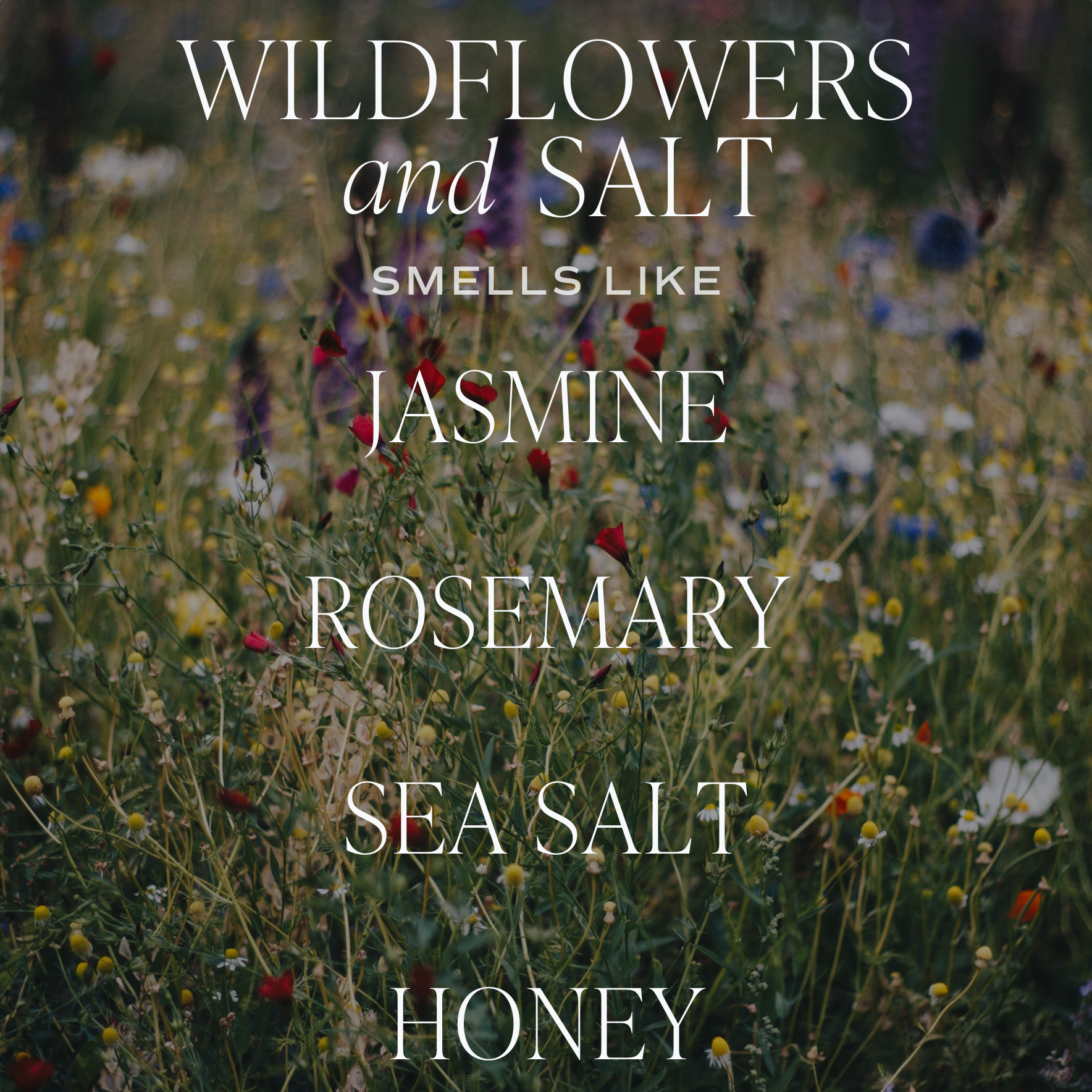 Wildflowers and salt reed diffuser scent notes graphic featuring jasmine, rosemary, sea salt, and honey over a wildflower field